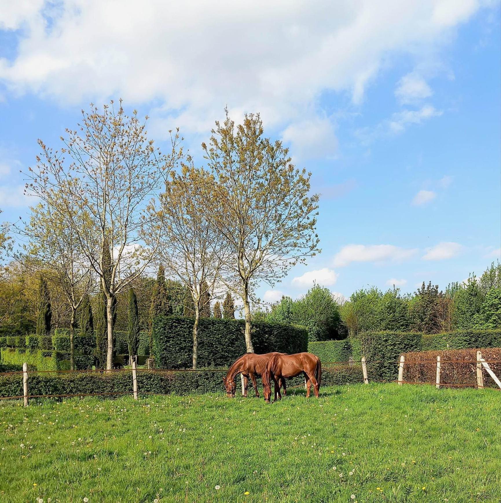 Domaine Du Bosc Roger Bouquetot Exterior foto